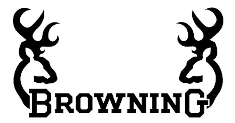 41FrFqbe1gL._UF1000,1000_QL80_